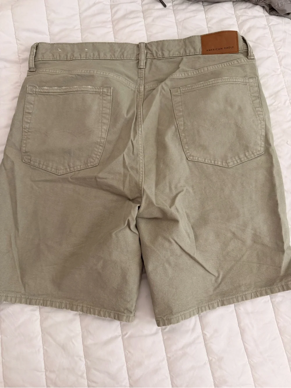 American Eagle Outfitters Olive/Tan Flat Front Men's Shorts